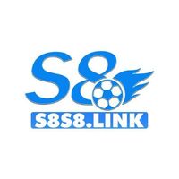 S8 S8LINK