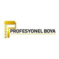 Profesyonel  Boya