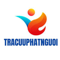 Tra Cứu Phạt Nguội Oto,  Xe Máy Toàn Quốc - Kiểm Tra 24/7