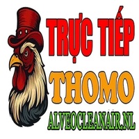 ĐÁ GÀ TRỰC TIẾP ALVEOCLEANAIR
