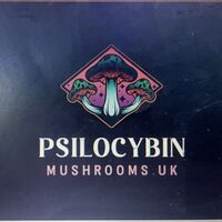 Psilocybin Mushrooms UK