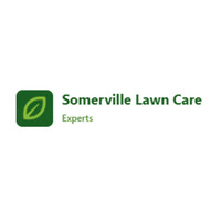 Lawn Care in Somerville 