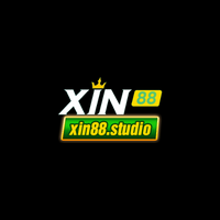 Xin88 studio