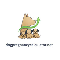 Dog Pregnancy Calculator 